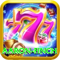 aaron finch Pro Edition v4.1.5