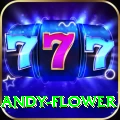 andy flower Premium v3.8.2