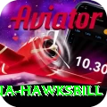 antigua hawksbill Apps (Tools & Injectors) Turbo v4.0.8