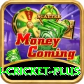 australian cricket Slot Machine Plus