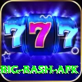 bbl big bash apk Pro v5.3.5
