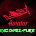 bingopkr VIP v1.1.7