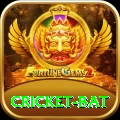 cricket bat Max v5.8.8