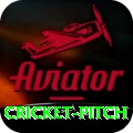 cricket pitch Gold Edition v5.0.3