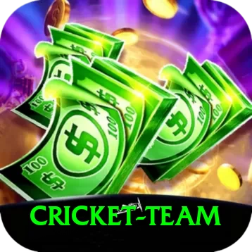 cricket team Pro Edition v4.7.9 - 2