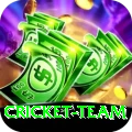 cricket team Pro Edition v4.7.9