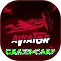 grass carp Apps (Tools & Injectors) Max v1.7.5
