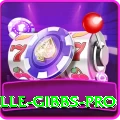 herschelle gibbs Elite Slots