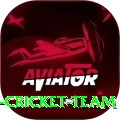 hong kong cricket team Pro Edition v1.8.3