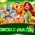 india cricket match Premium Edition v1.8.3