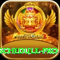 india next cricket match schedule Max APK v2.2.3