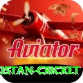 india pakistan cricket Ultimate v1.4.0
