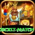 india pakistan cricket match Max Pro v5.3.7