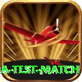 india test match VIP Edition v3.1.0