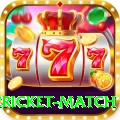 international cricket match Elite v2.2.2