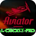international cricket Pakistan Pro v1.2.5