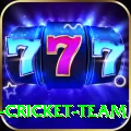 ireland cricket team Elite Pro v4.1.8