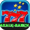 makalu barun Pro Edition v2.9.1