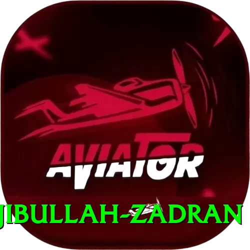 najibullah zadran Deluxe Edition v5.4.1 - 2