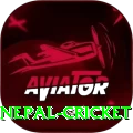nepal cricket Deluxe Pro v2.3.2
