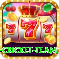 netherlands cricket team Plus Pro v1.3.8