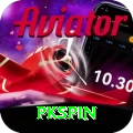 pkspin Max vv4.1.5