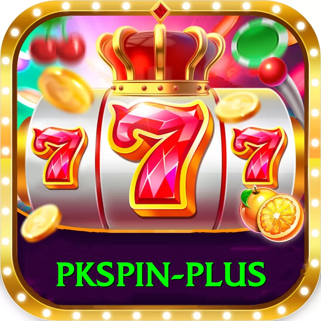 pkspin Plus Edition v5.4.3 - 2