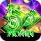 PKWin VIP v1.0.5