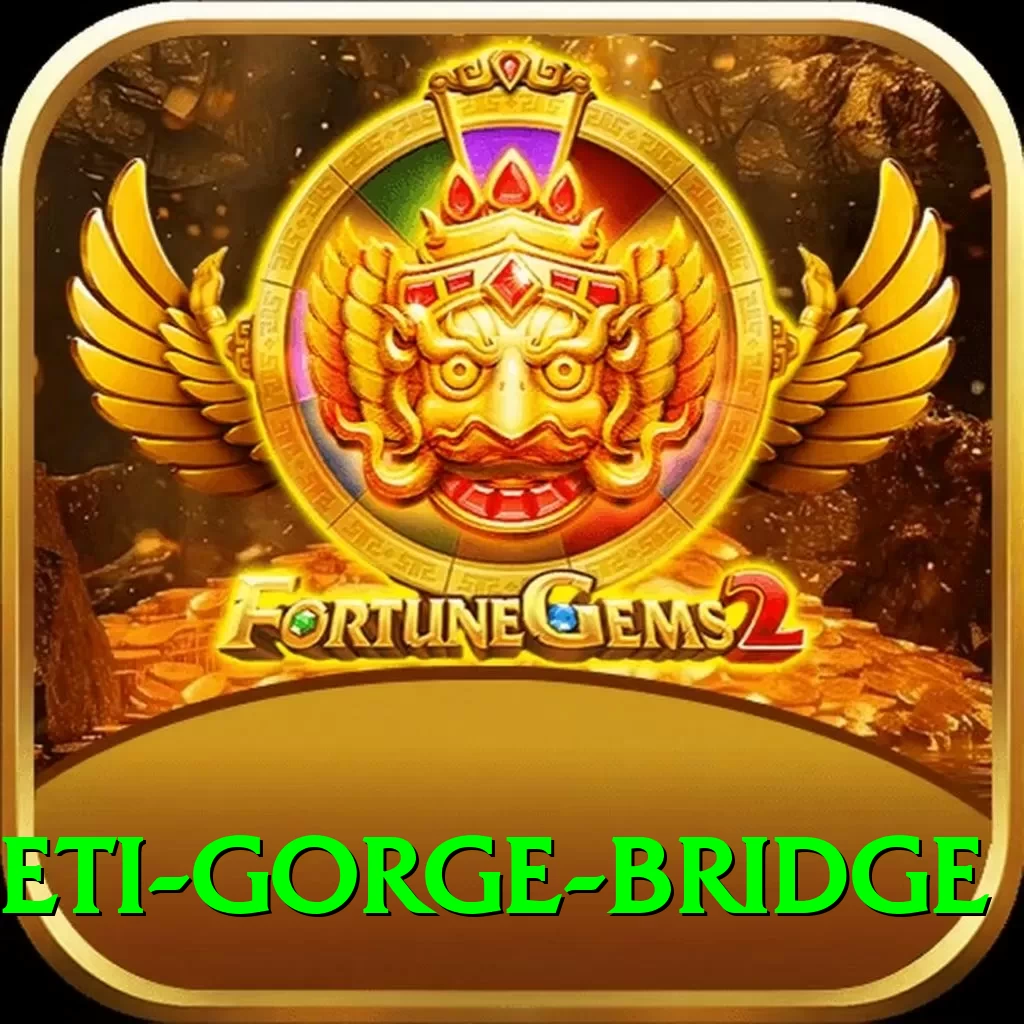 seti gorge bridge Plus Pro v3.0.3 - 2