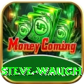 steve waugh Master v2.1.2