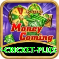 v cricket Deluxe - Casino & Slots