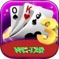 wc t20 Master v3.5.5