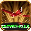 yaywin Master Pro v5.5.3